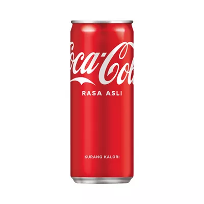 Coca-Cola Can (Imported) 320 ml